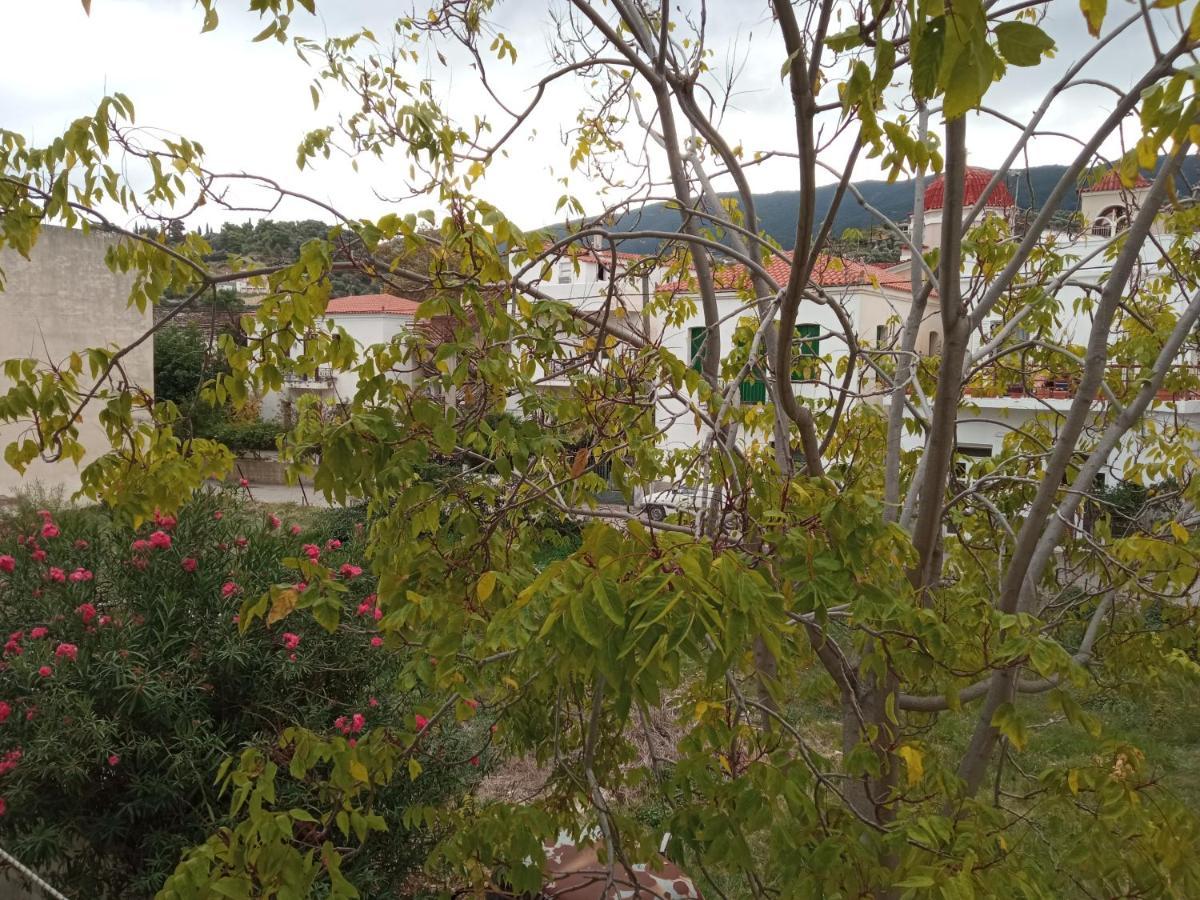 Bissias Guest House Galatas  Exterior photo